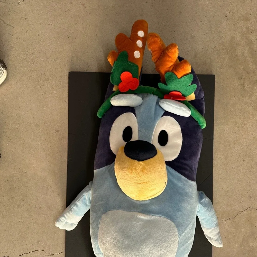 Bluey embrace holiday